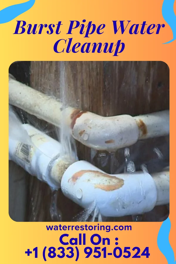 Burst Pipe Water Cleanup in Golva, ND
