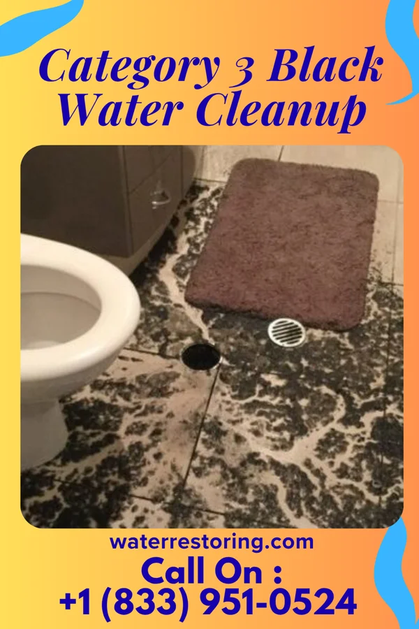 Category 3 Black Water Cleanup in Golva, ND