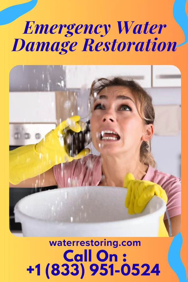 Emergency Water Damage Restoration in Golva, ND