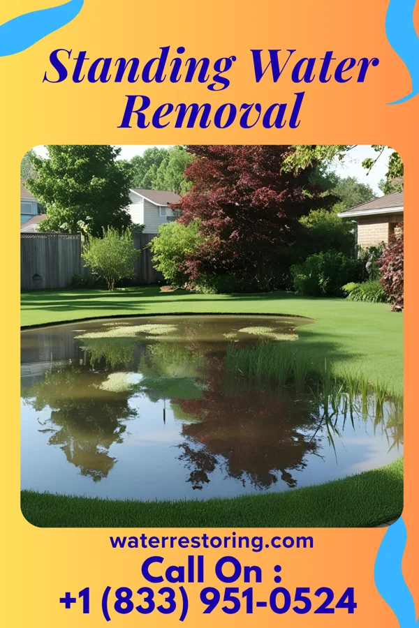 Standing Water Removal in Golva, ND